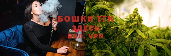 МДПВ Осинники