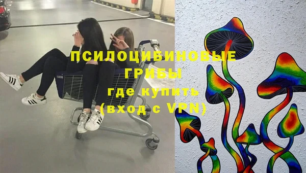 МДПВ Осинники