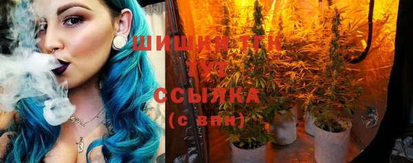 МДПВ Осинники