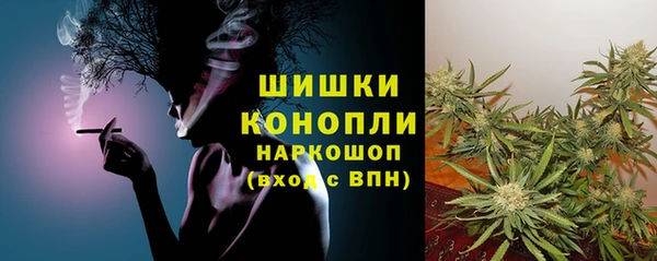 МДПВ Осинники