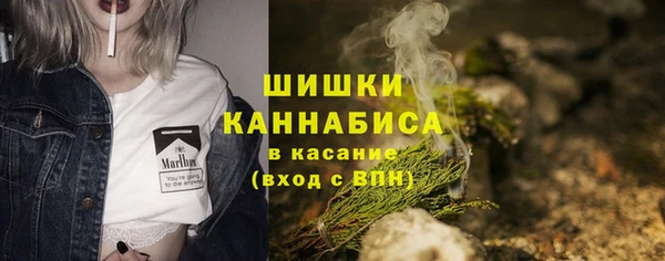 МДПВ Осинники