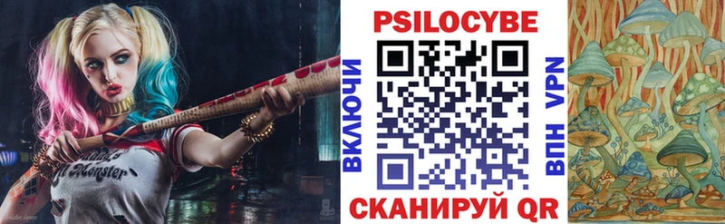 Псилоцибиновые грибы Cubensis  Купить где  Мегион 